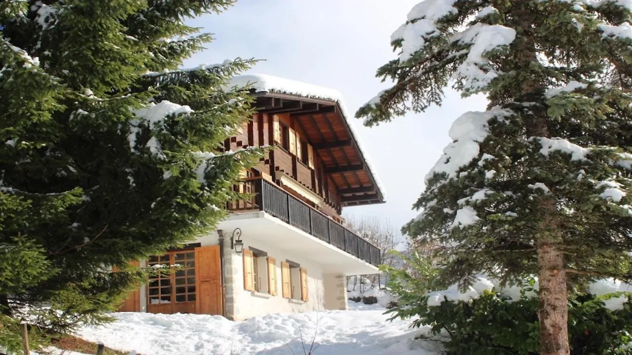 Chalet Artheis Ле-Гран-Борнан