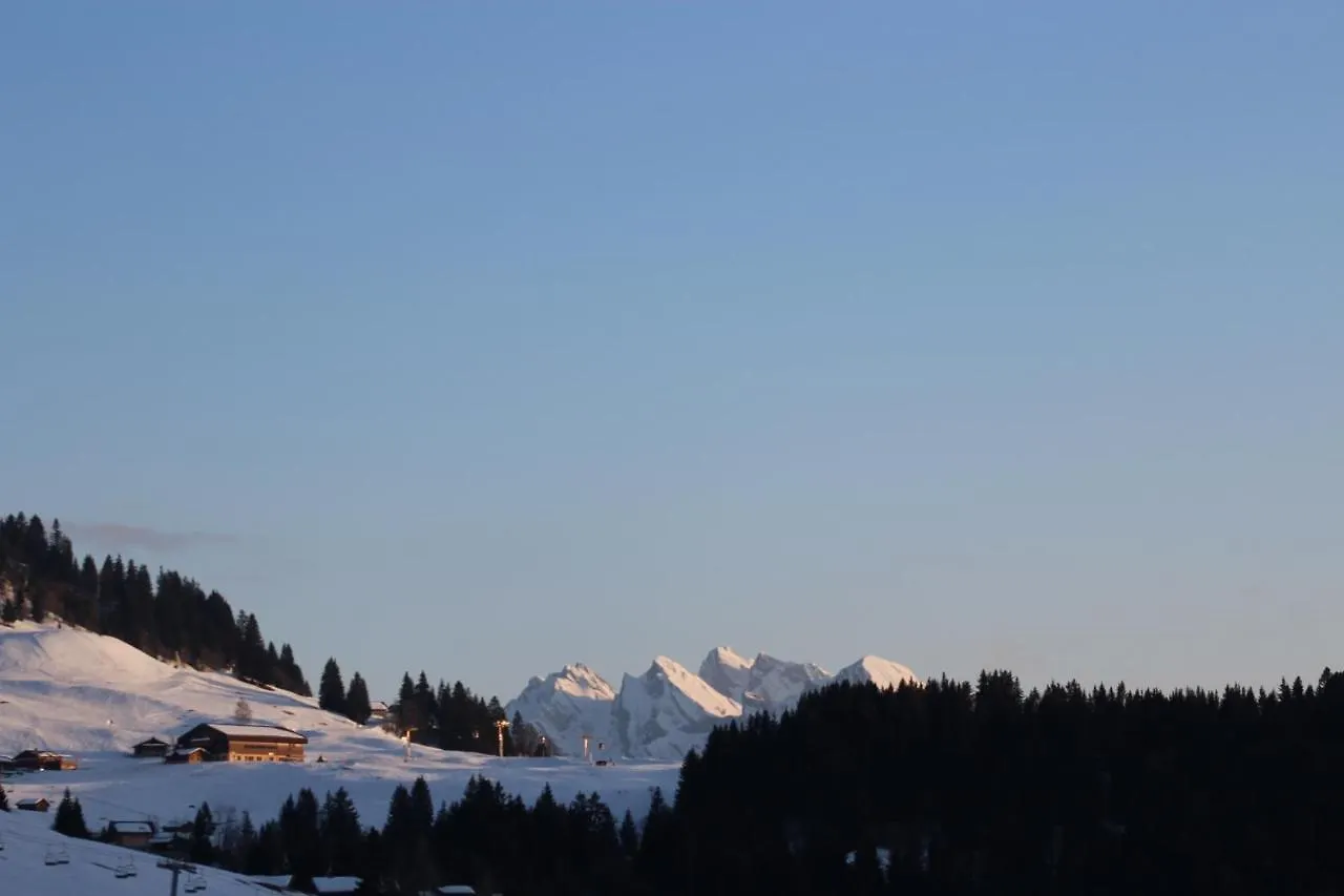 Chalet Artheis Ле-Гран-Борнан