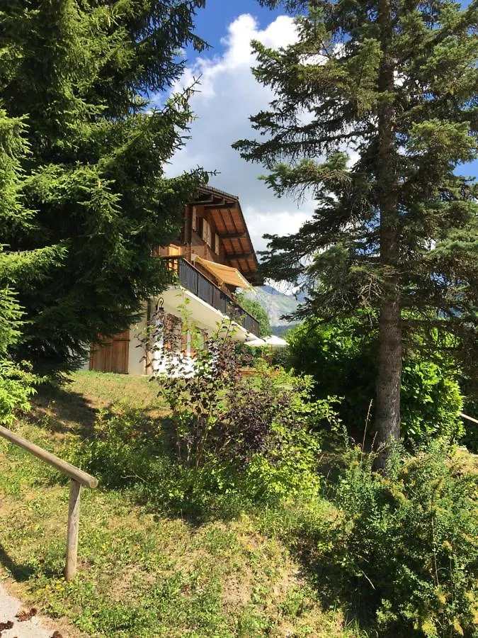 Chalet Artheis Ле-Гран-Борнан